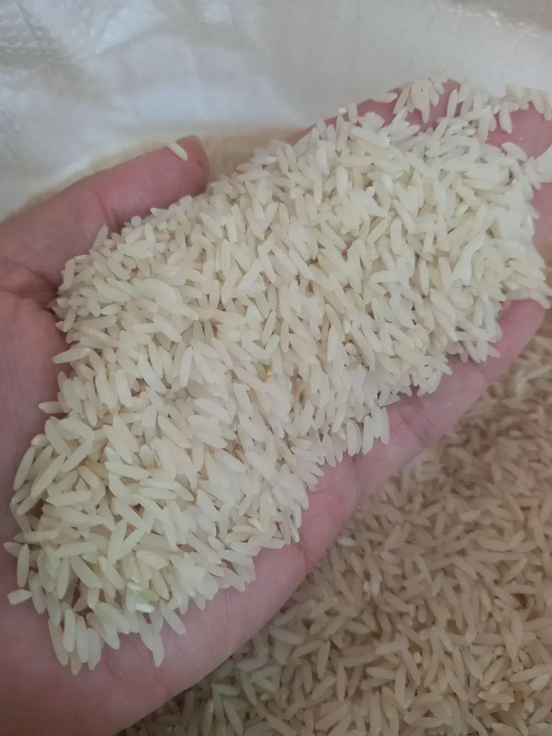 برنج طارم|خوردنی و آشامیدنی|قرچک, زیبا شهر|دیوار