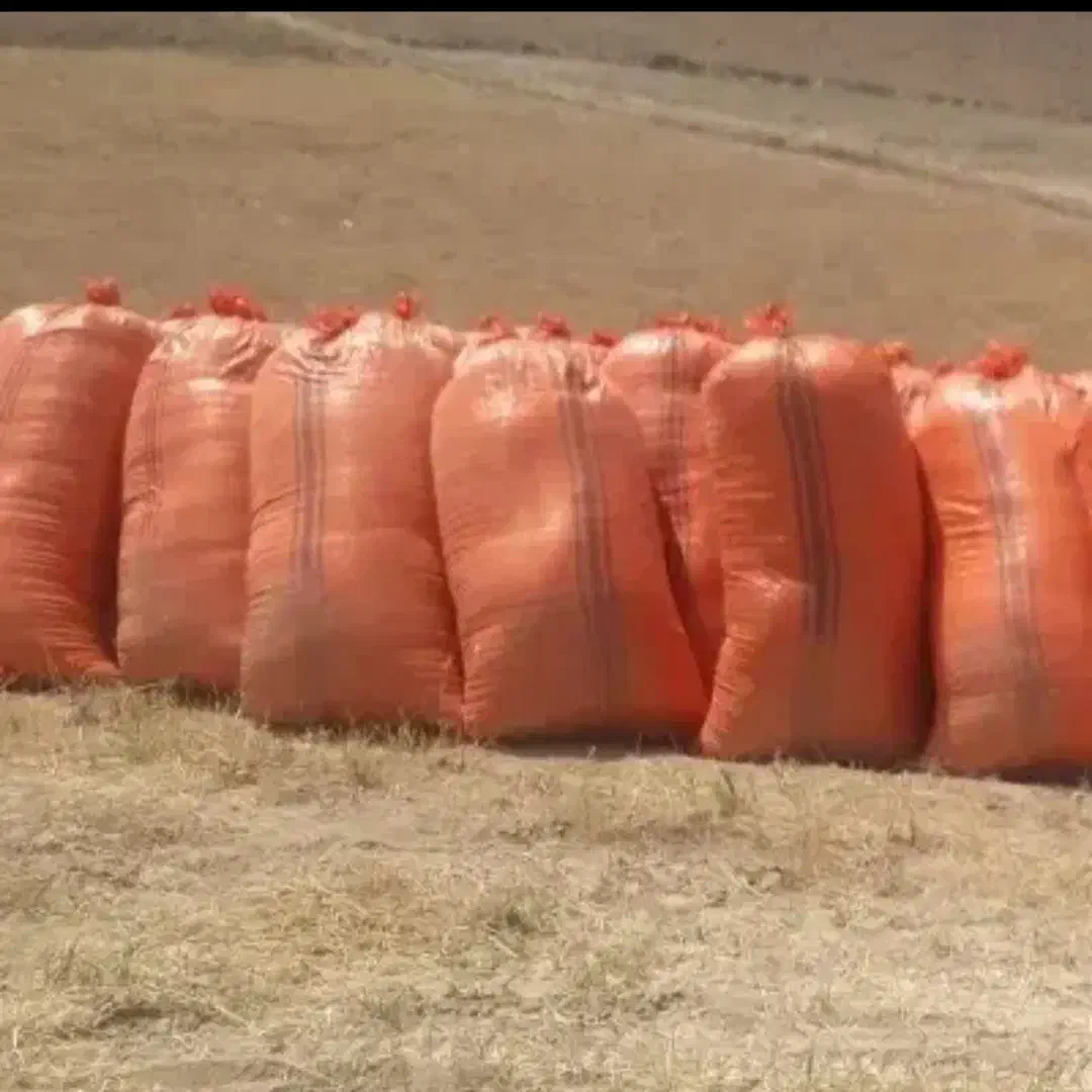 کاه گندوم|گل و گیاه طبیعی|گرمخان, |دیوار