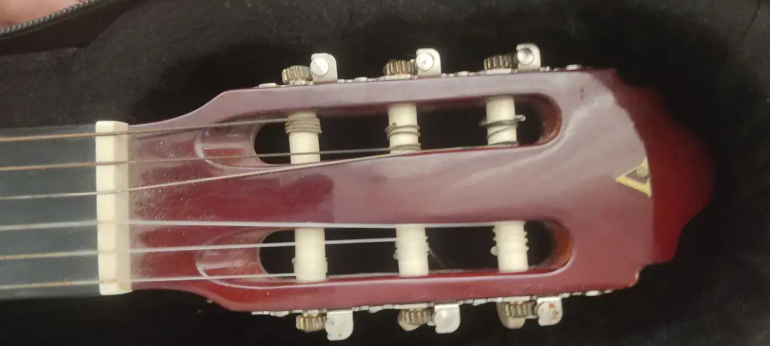 گیتار والنسیا اصل نو نو|گیتار، بیس، امپلیفایر|شیراز, جمهوری|دیوار