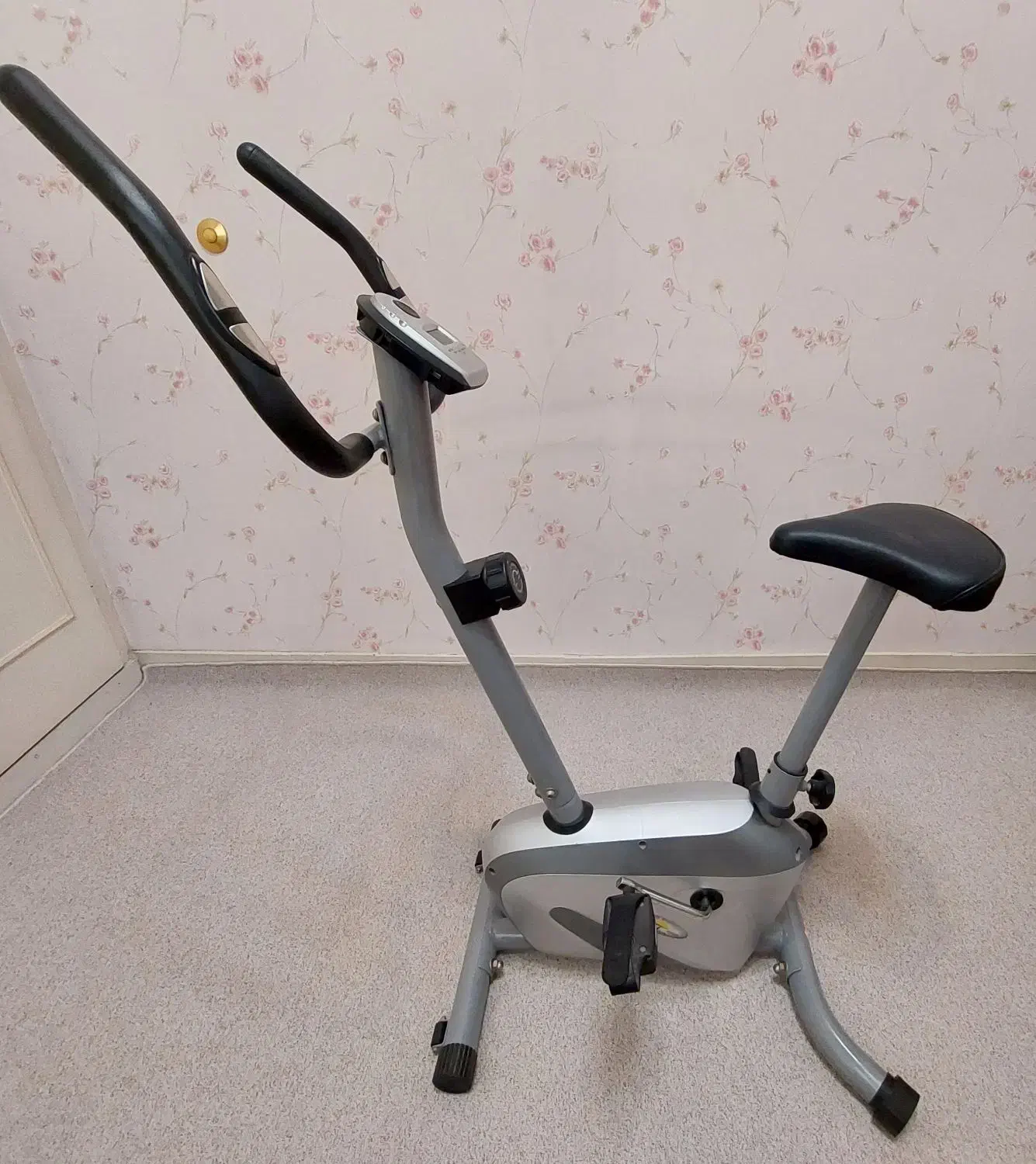 دوچرخه ثابت|تجهیزات ورزشی|ری, دولت‌آباد|دیوار