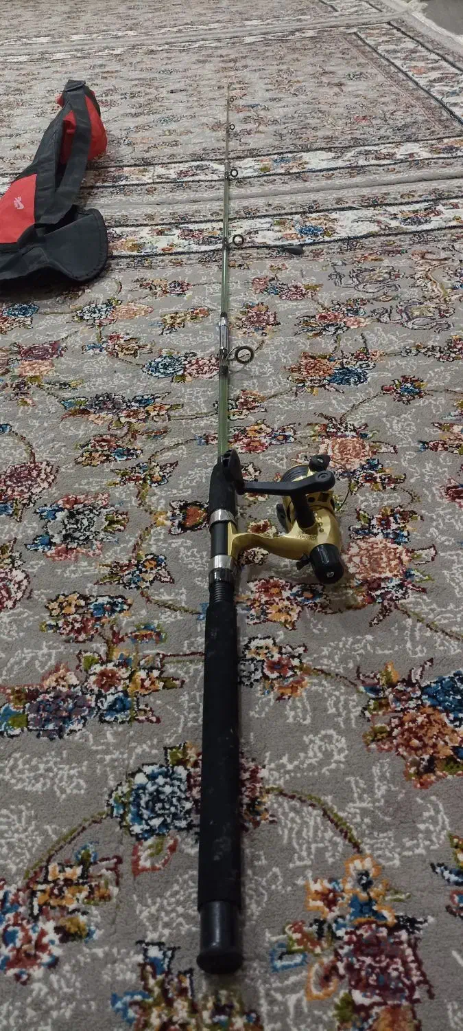 لنسر ماهی گیری|ماهیگیری|بوکان, |دیوار