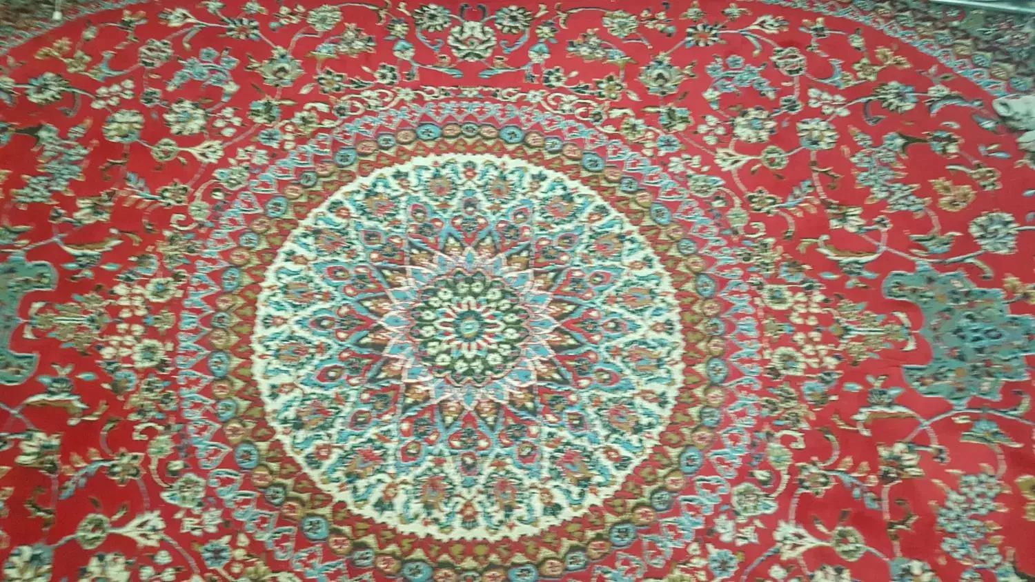 فرش|فرش|مشهد, گلشور|دیوار