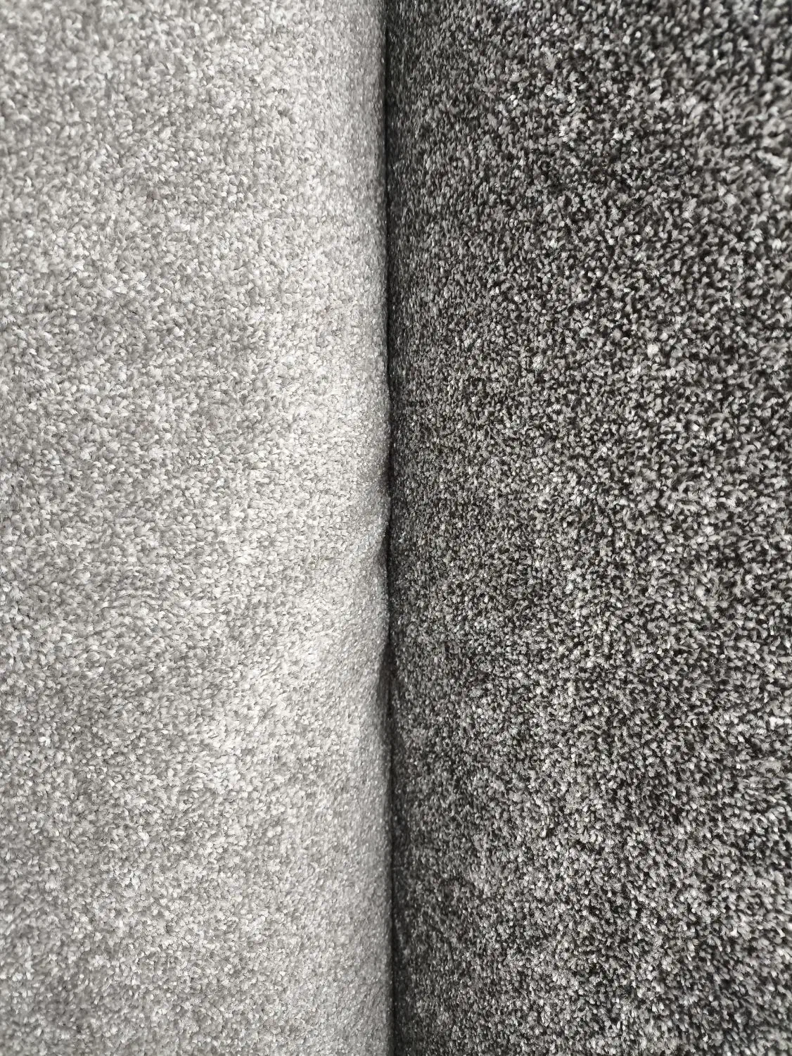 پالاز موکت پرزبلند|موکت|دزفول, |دیوار