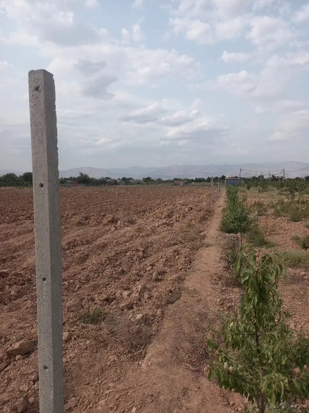 فروش زمین کشاورزی|فروش زمین و ملک کلنگی|نظرآباد, خسروآباد|دیوار