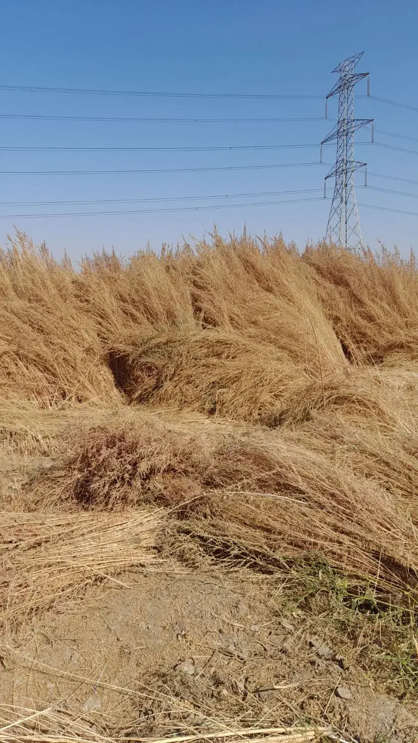 جارو شهرداری|لوازم نظافت|نظرآباد, قوچ حصار|دیوار