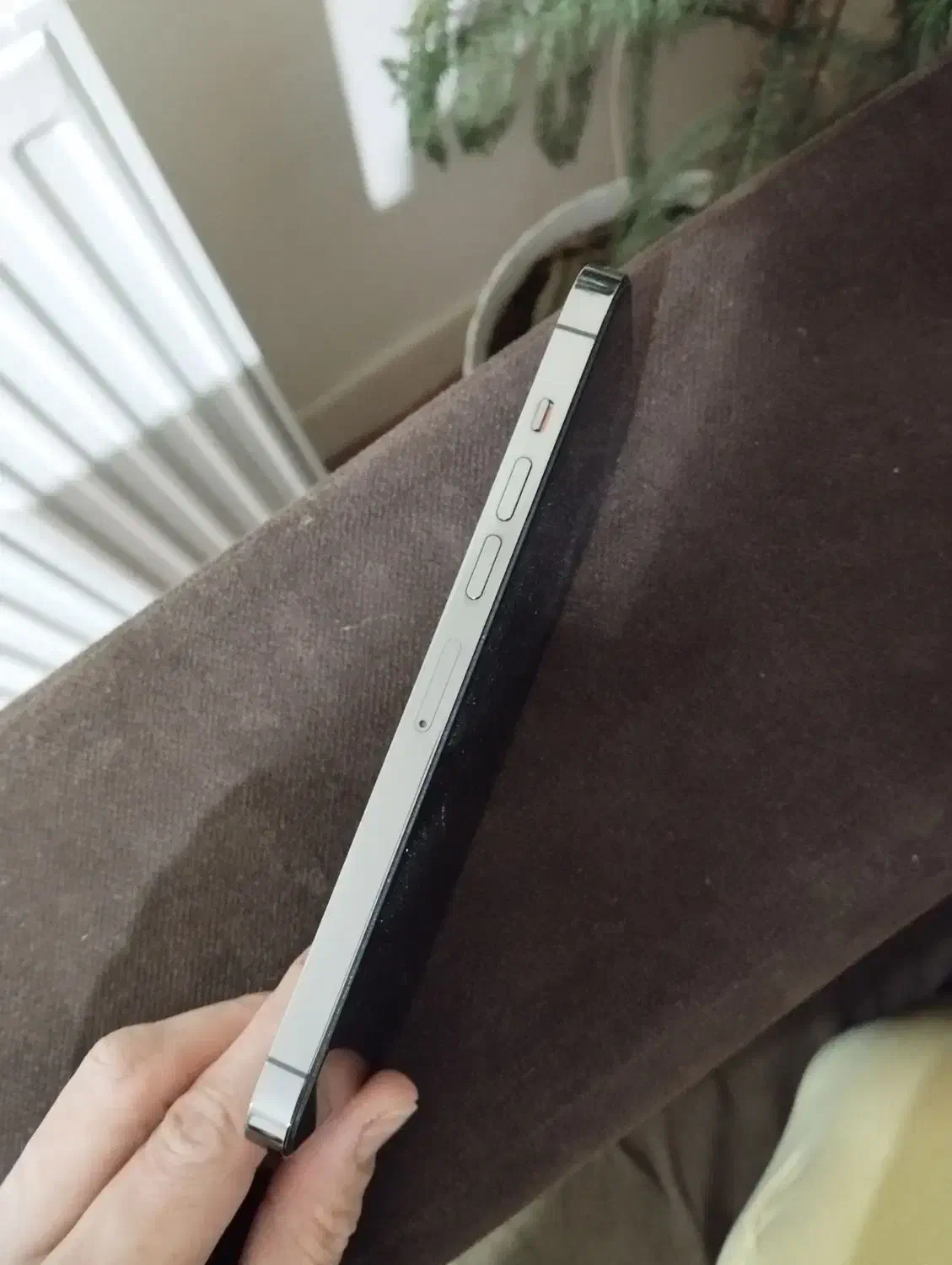 آیفون 13پرو مکس|موبایل|تبریز, |دیوار