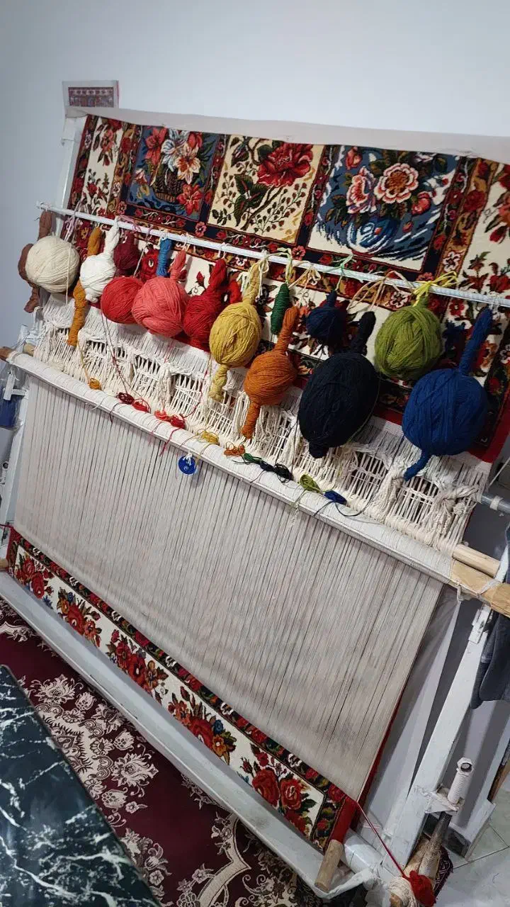 فرش دستبافت|فرش|لاهیجان, لیالستان|دیوار