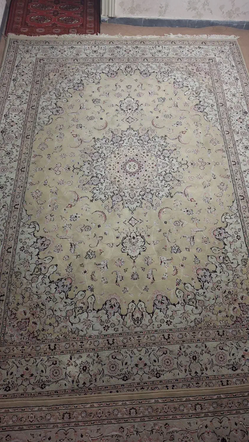 دو عدد فرش/9 متری و 12 متری /|فرش|گرگان, |دیوار