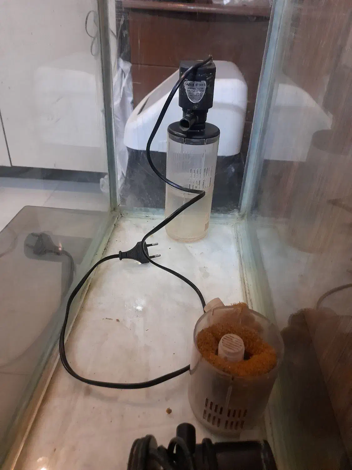 آکواریوم وموتورقوی وخیلی خوب است|ماهی|مشهد, آزادشهر|دیوار