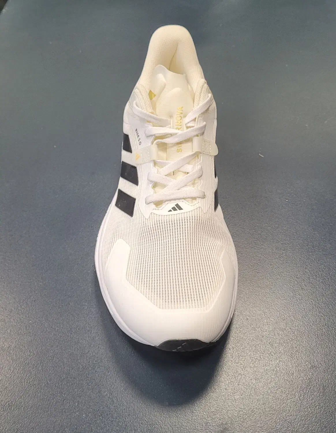 کتونی آدیداس|کیف، کفش، کمربند|رشت, کاکتوس|دیوار