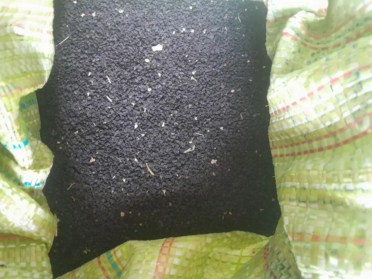 بذر تره|گل و گیاه طبیعی|گناباد, |دیوار