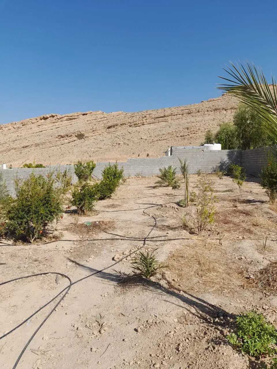 باغ شهر 1000متری سند قولنامه ای|فروش خانه و ویلا|شیراز, بید زرد|دیوار