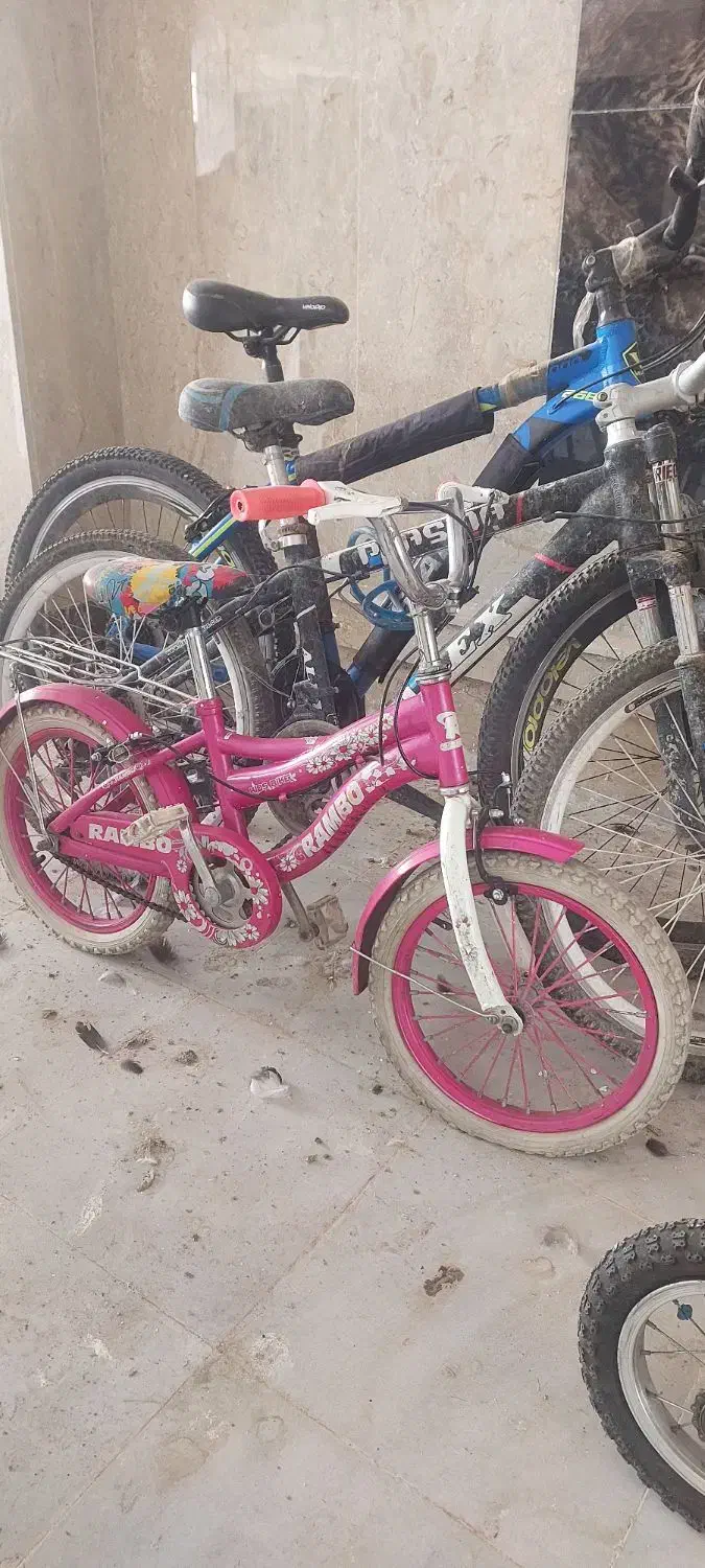 چهار عدد دوچرخه یکجا|دوچرخه، اسکیت، اسکوتر|هشتگرد, فاز ۲ مهستان|دیوار