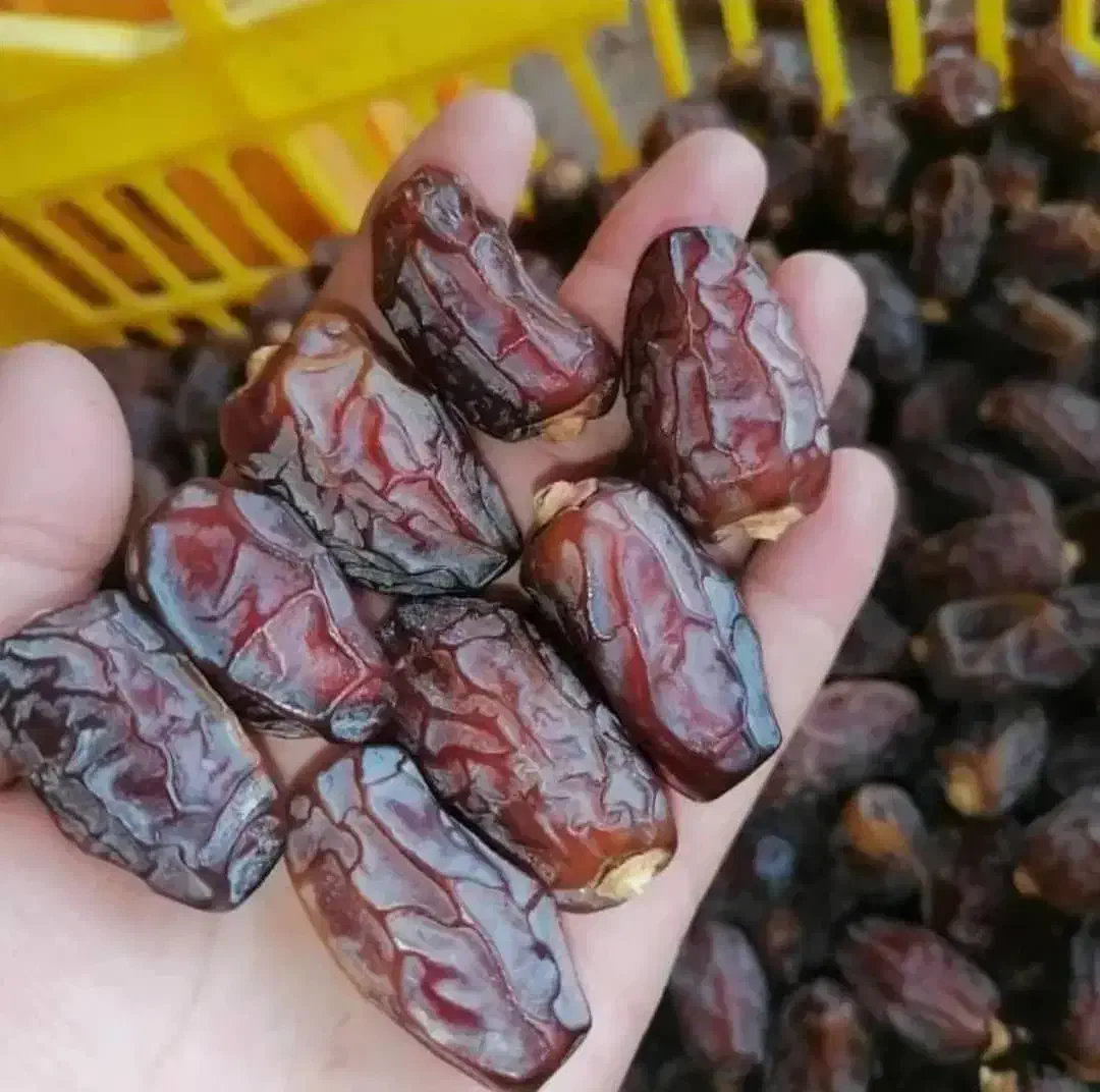 فروش عمده خرما درجه یک بشرط.|خوردنی و آشامیدنی|میمند, |دیوار