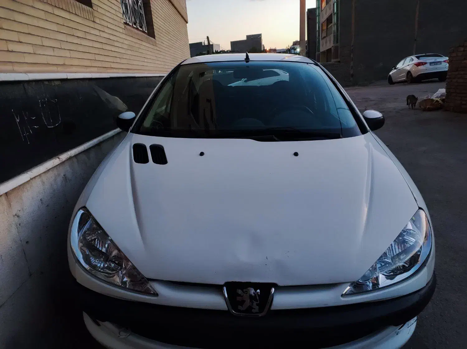 پژو 206 sd|خودرو سواری و وانت|کرمان, |دیوار