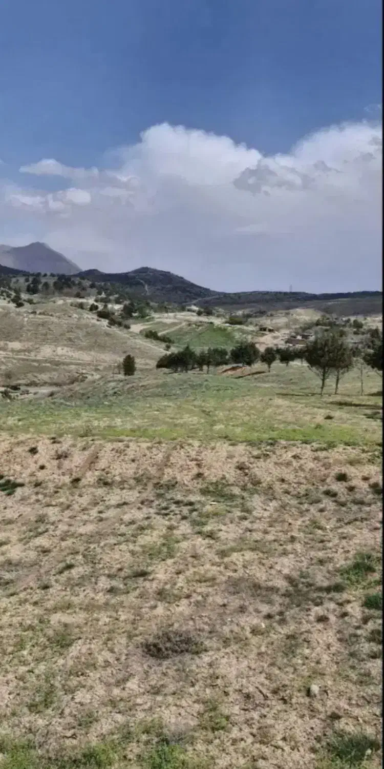 زمین تلو ۲۲۵ متر زمین خالی|فروش زمین و ملک کلنگی|تلو, |دیوار