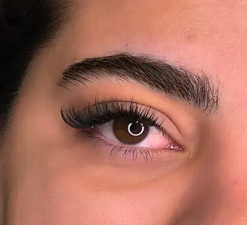 تخفیف اکستیشن و لیفت و لمینت مژه و ابرو|خدمات آرایشگری و زیبایی|اصفهان, ملک‌شهر|دیوار