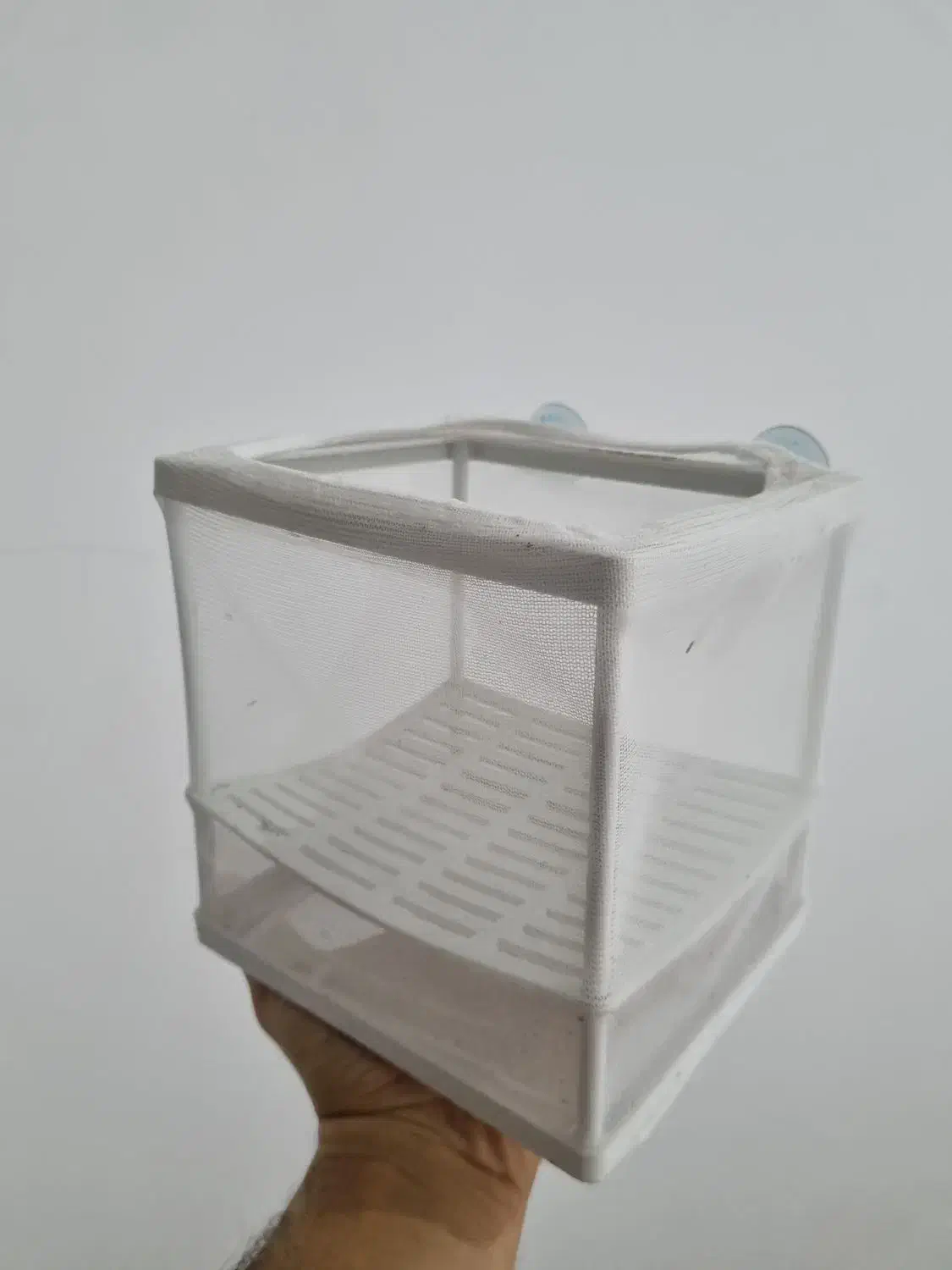 آکواریوم همراه با تجهیزات|ماهی|خرمآباد, |دیوار