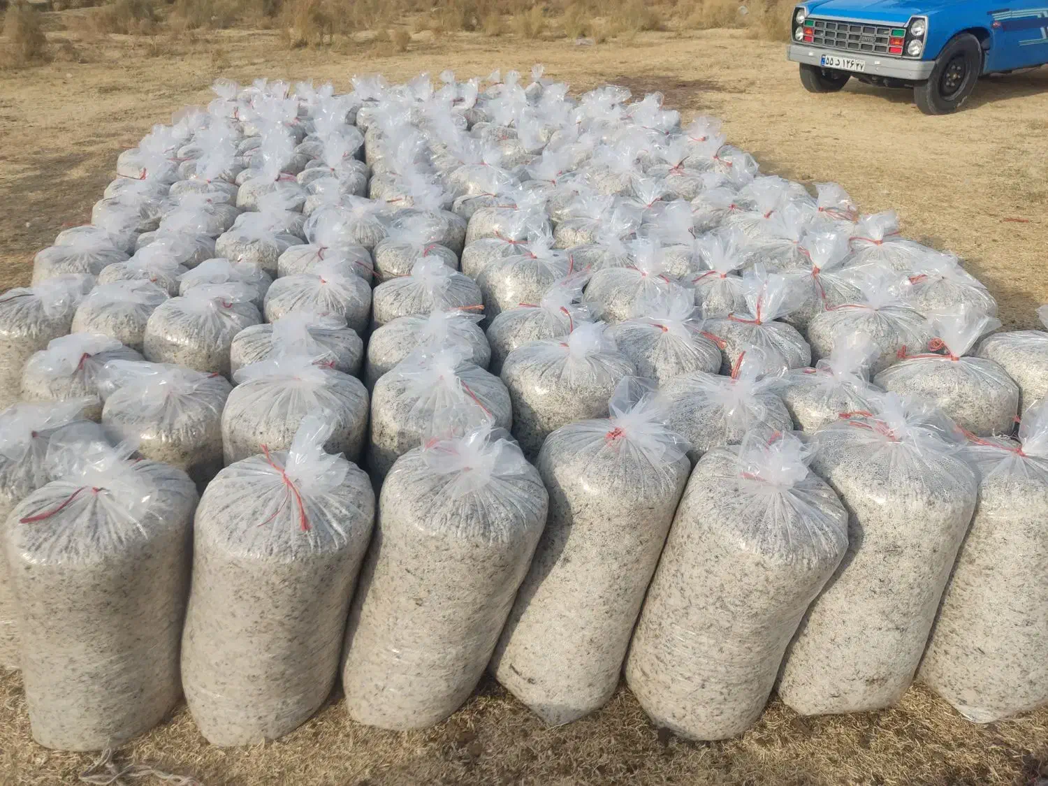 تفاله چغندر|لوازم جانبی حیوانات|محمدبار, |دیوار