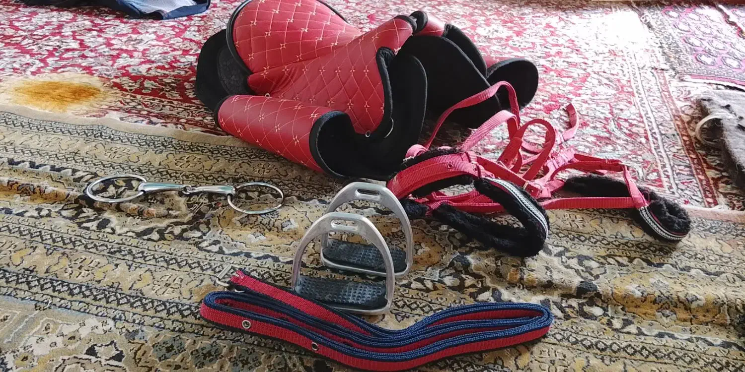 زیناسب|اسب و تجهیزات اسبسواری|ازنا, |دیوار