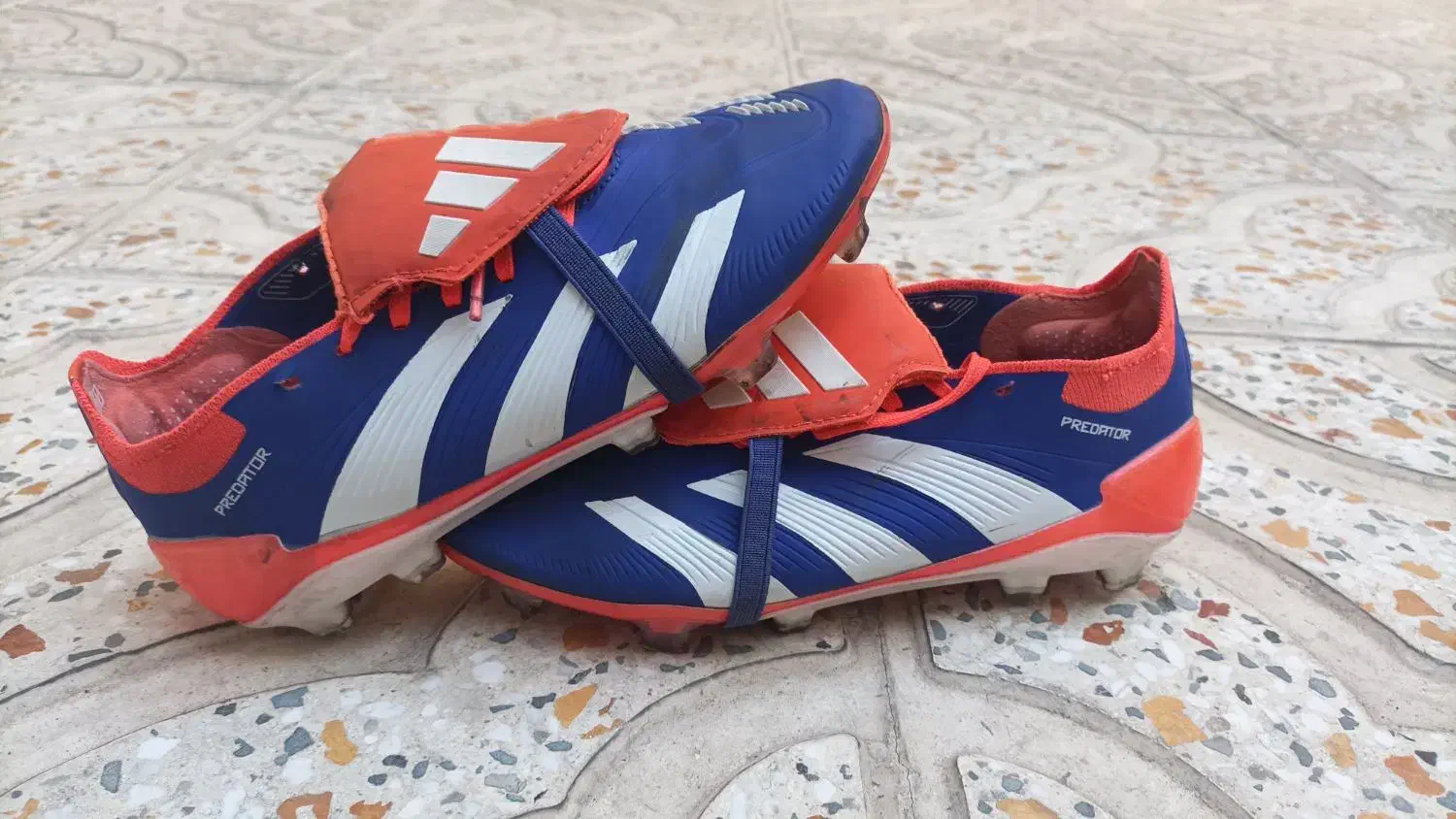 استوک پریدیتور|کیف، کفش، کمربند|ری, علایین|دیوار