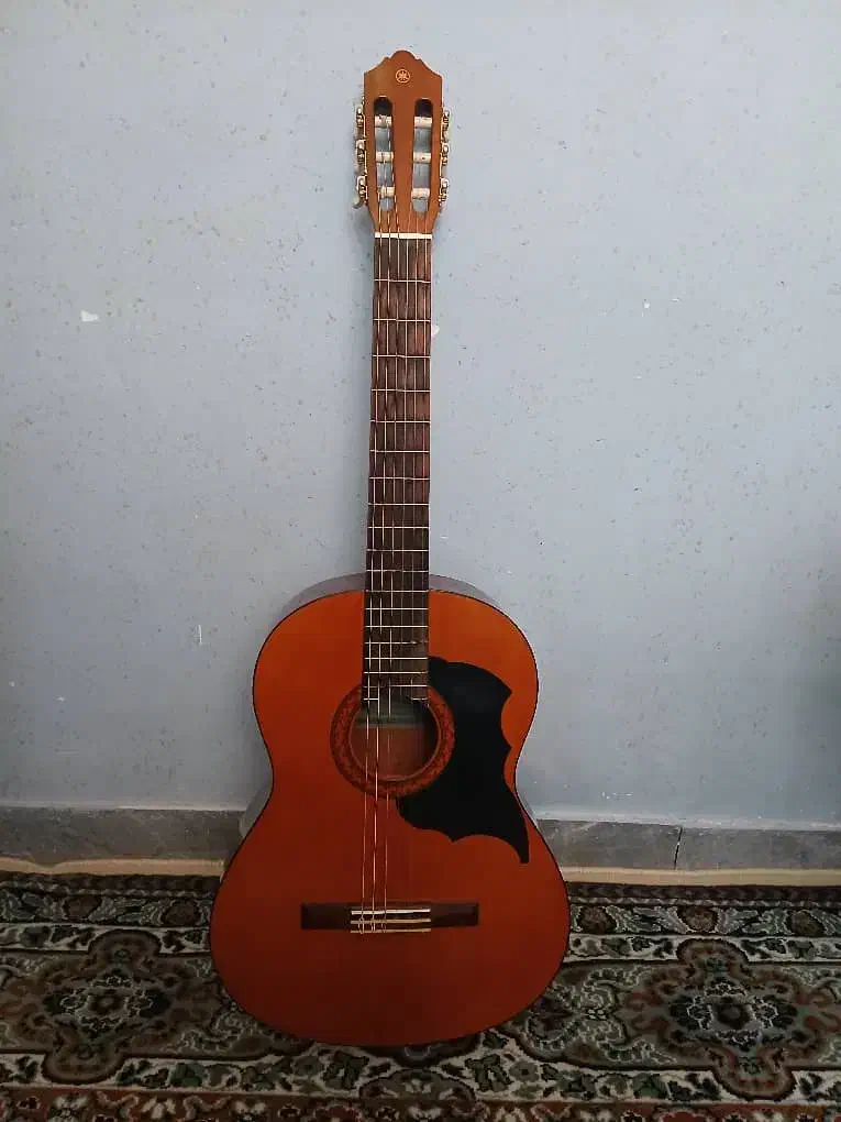 گیتار c40|گیتار، بیس، امپلیفایر|رفسنجان, |دیوار