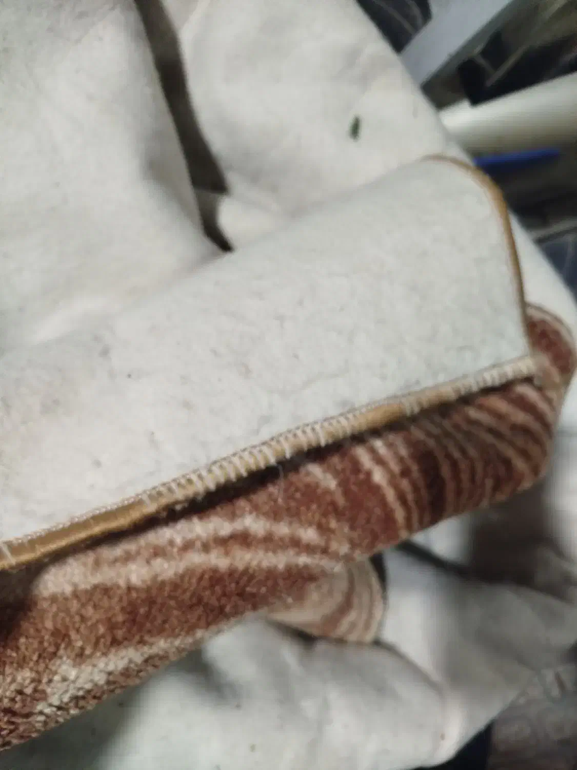 موکت ۱۲متری|موکت|فردیس, داوری|دیوار