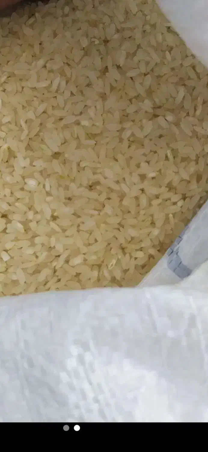 برنج کامفیروزی چمپه. اصل به شرط|خوردنی و آشامیدنی|صدرا-فارس, فاز ۱|دیوار