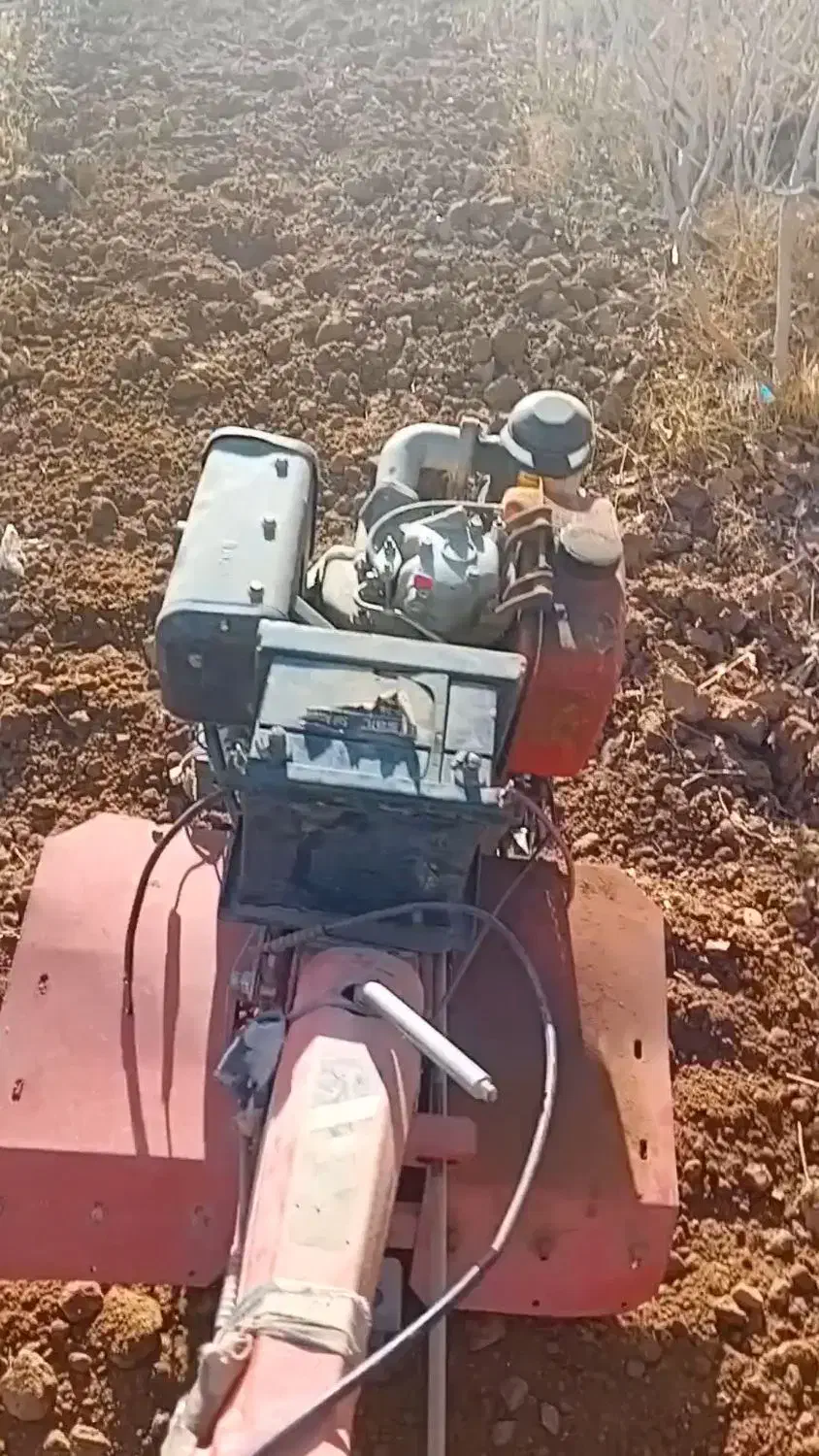 تیلردستـی|خدمات باغبانی و درختکاری|زرند, |دیوار