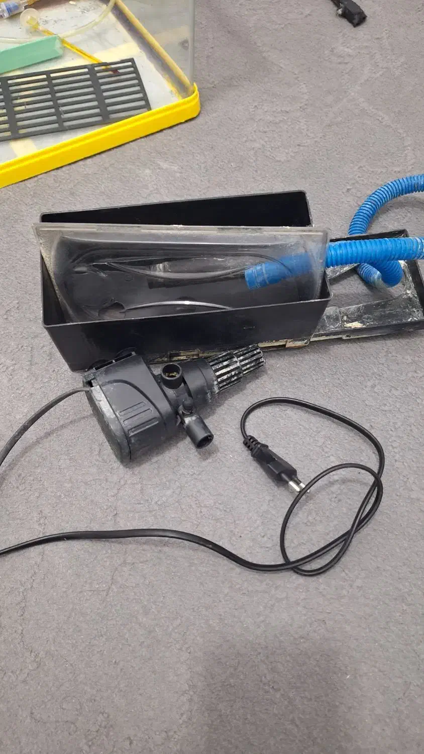 آکواریوم|ماهی|ارومیه, |دیوار