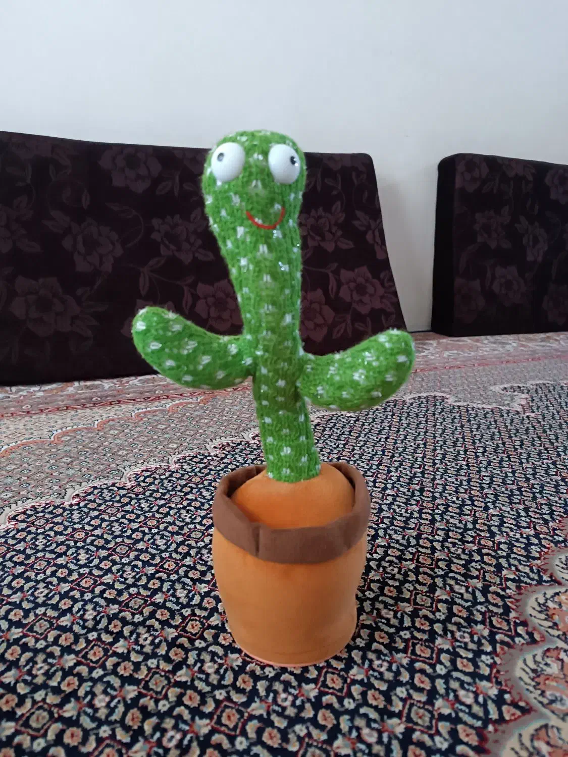 کاکتوس سخن گو|اسباب‌‌بازی|اردبیل, |دیوار