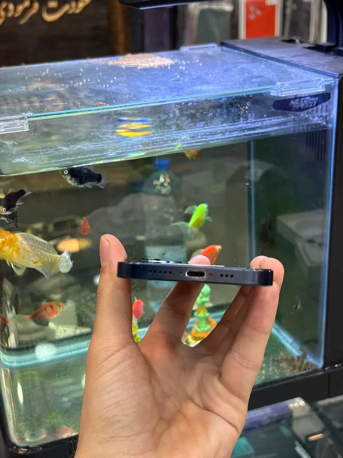 12normal|موبایل|شیراز, زند|دیوار