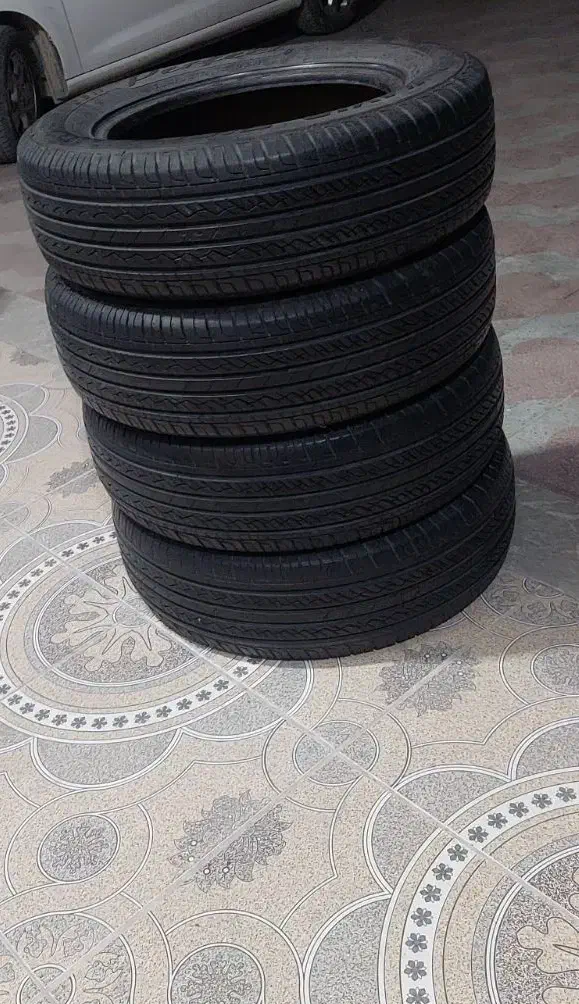 لاستیک کویر|قطعات یدکی و لوازم جانبی|شیراز, احمدی جنوبی|دیوار