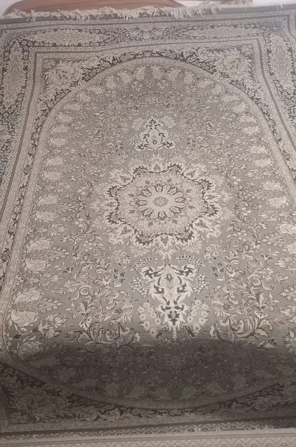 فرش 6متری|فرش|مشهد, ویلاشهر|دیوار