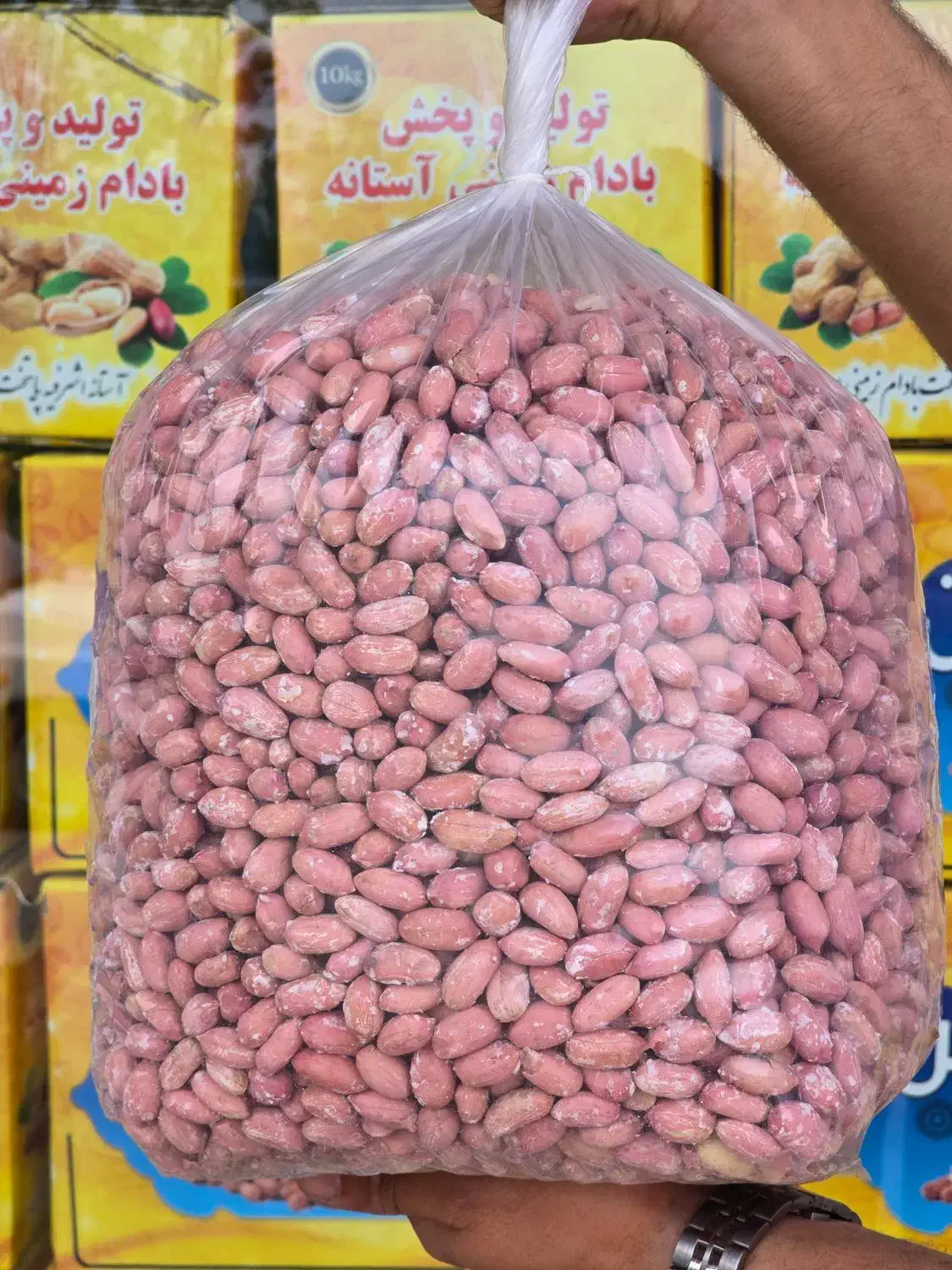 تولیدی بادام زمینی آستانه|عمدهفروشی|آستانه اشرفیه, |دیوار