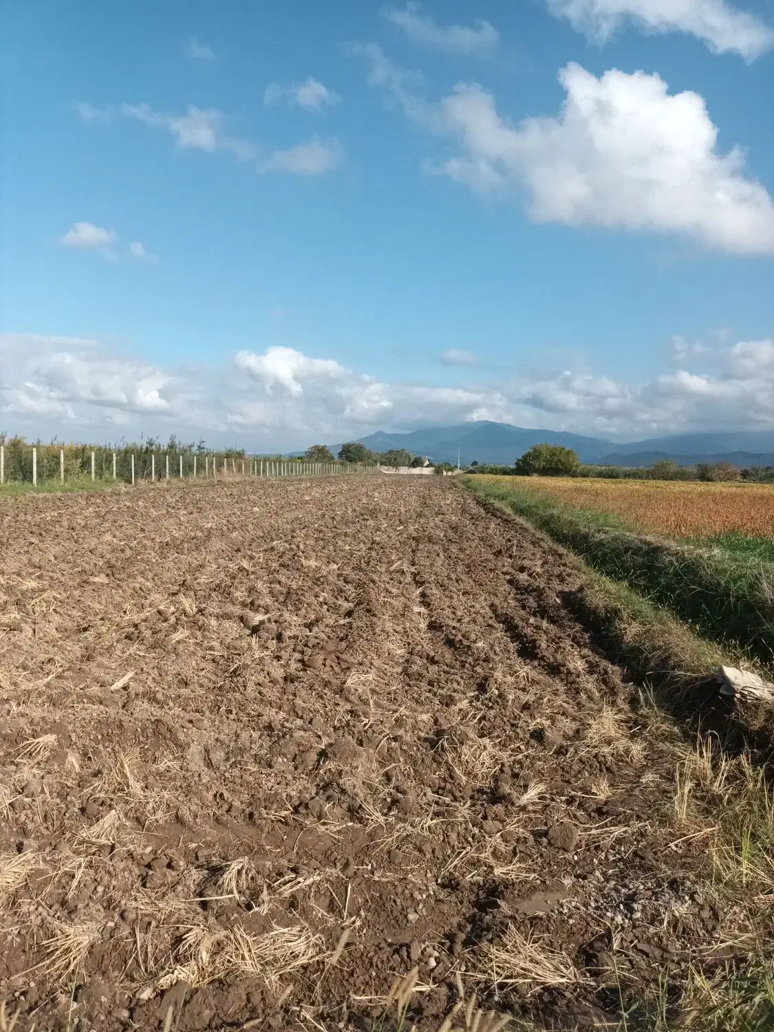 زمین باغی|فروش زمین و ملک کلنگی|گرگان, |دیوار