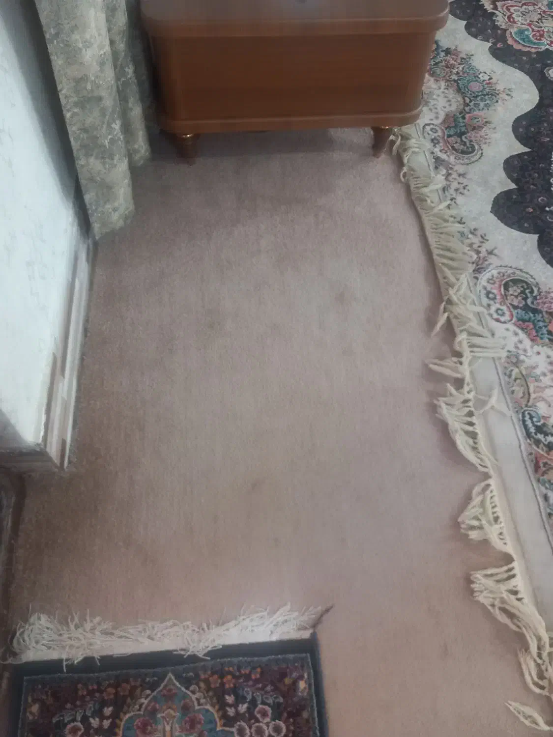 قالی اتاق کودک و پالاز موکت|فرش|خرمشهر, |دیوار