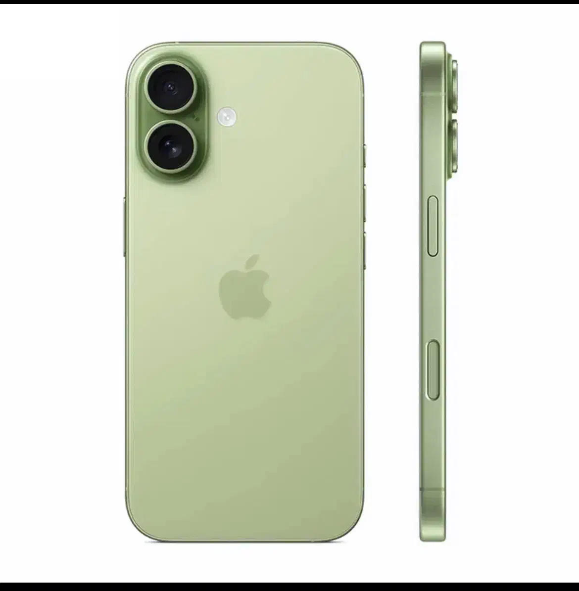 Iphone 17 256|موبایل|تهران, ونک|دیوار