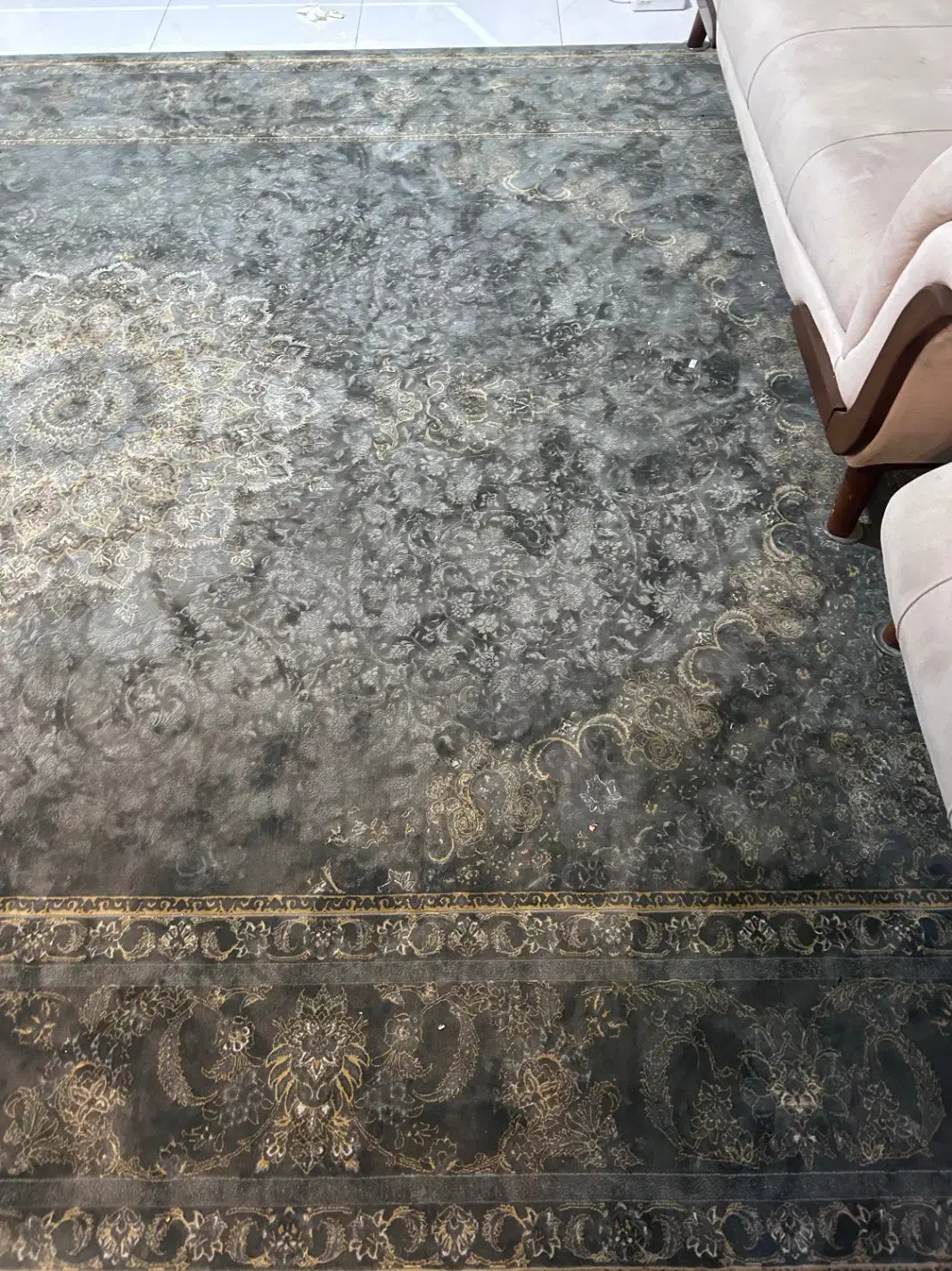 فرش|فرش|مشهد, شهید بصیر|دیوار