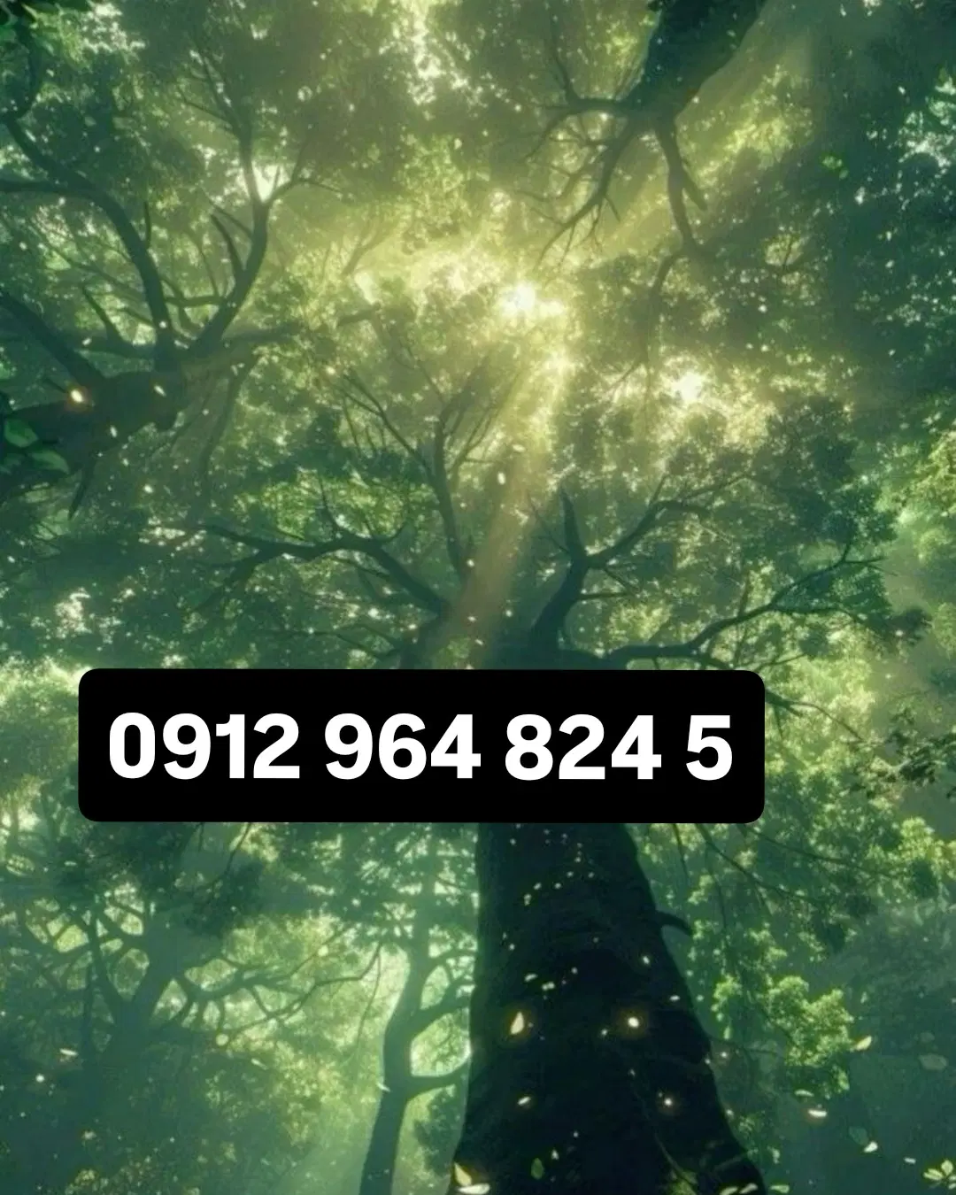 سیمکارت سام رند|سیمکارت|تهران, قبا|دیوار