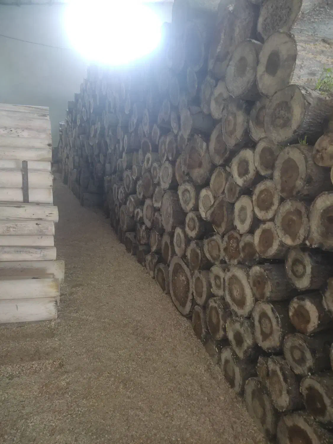 پرس کار ماهر|استخدام صنعتی، فنی، مهندسی|اهر, |دیوار