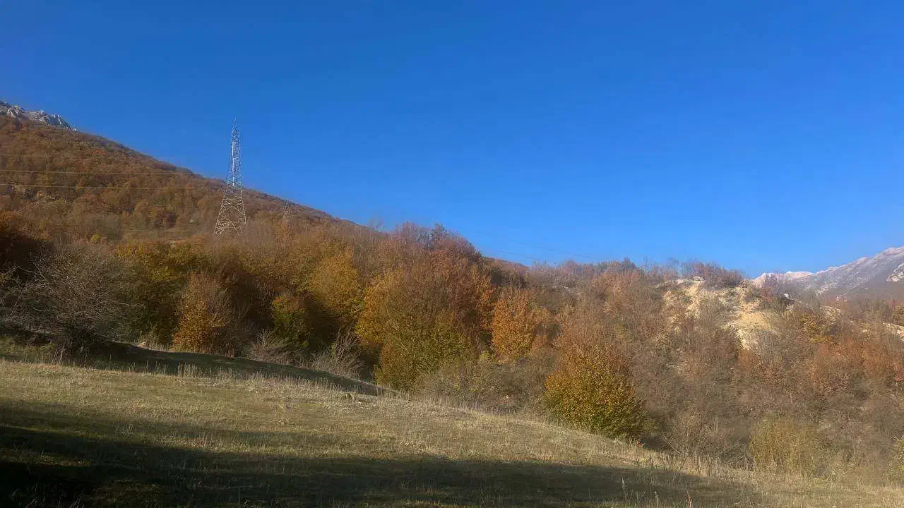 عکاس سیار آمل|خدمات پذیرایی، مراسم|آمل, |دیوار