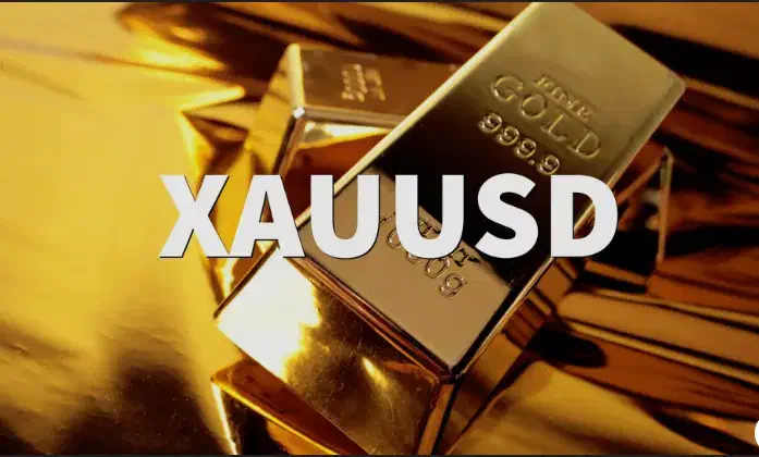 سیگنال قطعی انس طلا روزانه 300 پیپ|فعالیت داوطلبانه|رفسنجان, |دیوار