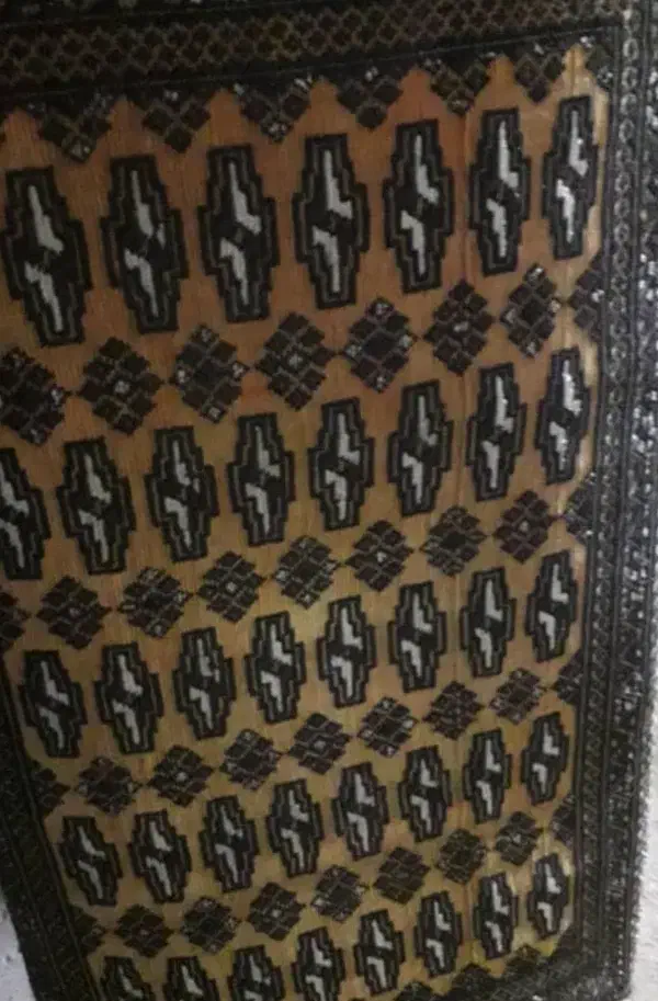 ۹ عدد پشت دیواری در حد نو|پشتی|رشت, لاکان|دیوار