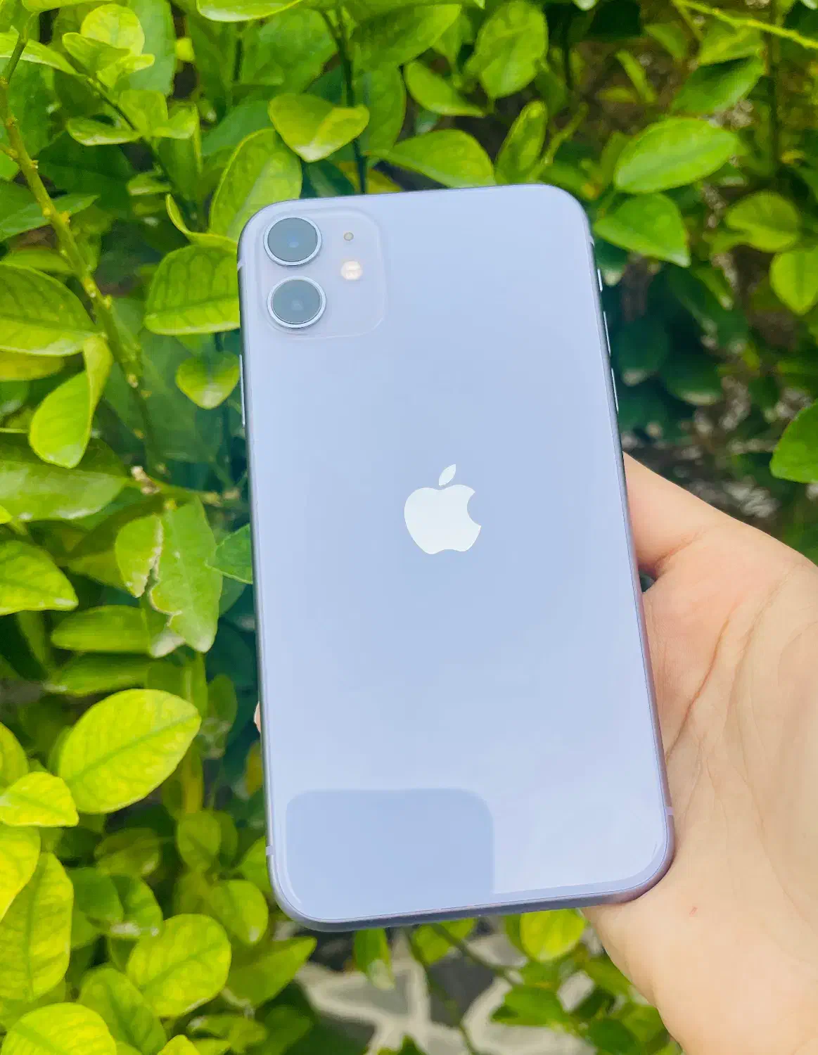 iphone 11 normal|موبایل|بوشهر, |دیوار