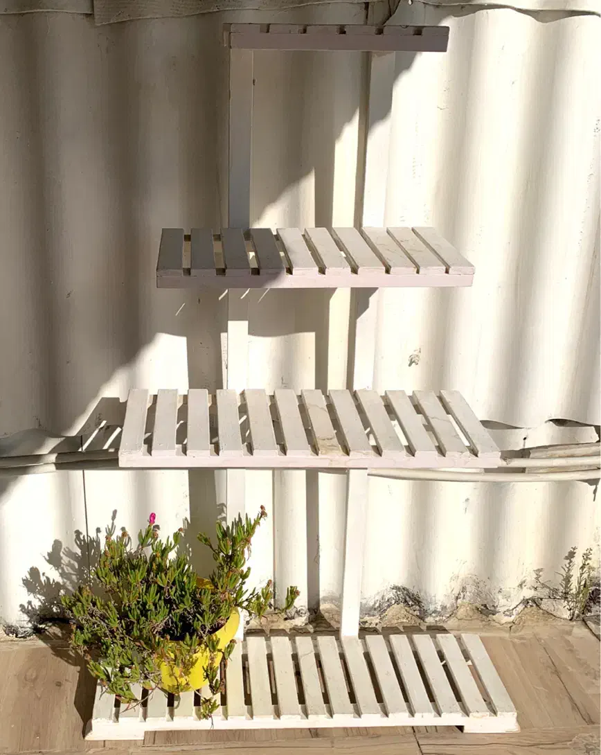 شلف و قفسه چوبی|کتابخانه، شلف، قفسه‌های دیواری|اردبیل, |دیوار