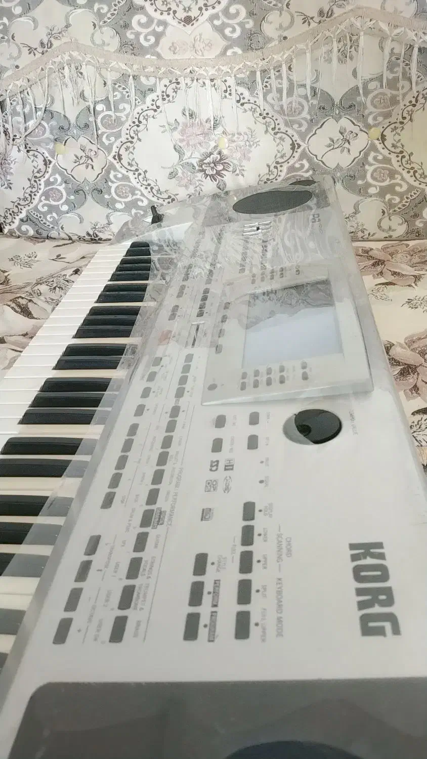 ارگ P80|پیانو، کیبورد، آکاردئون|جنت, |دیوار