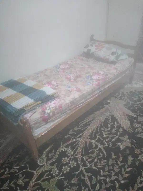 تخت خواب|تخت و سرویس خواب|شیراز, لب آب|دیوار