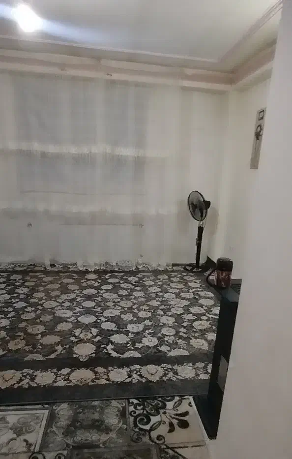 قالی در حد نو|فرش|شیروان (خراسان), |دیوار