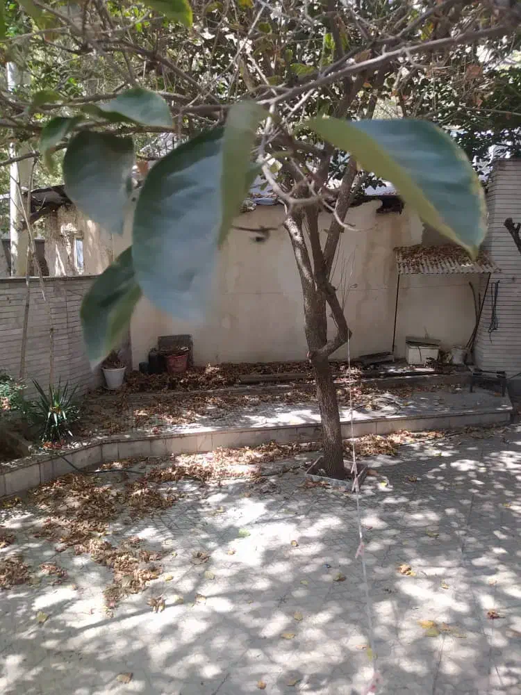 666مترکلنگی قابل سکونت888متربنا زیرقیمت زعفرانیه|فروش خانه و ویلا|تهران, زعفرانیه|دیوار